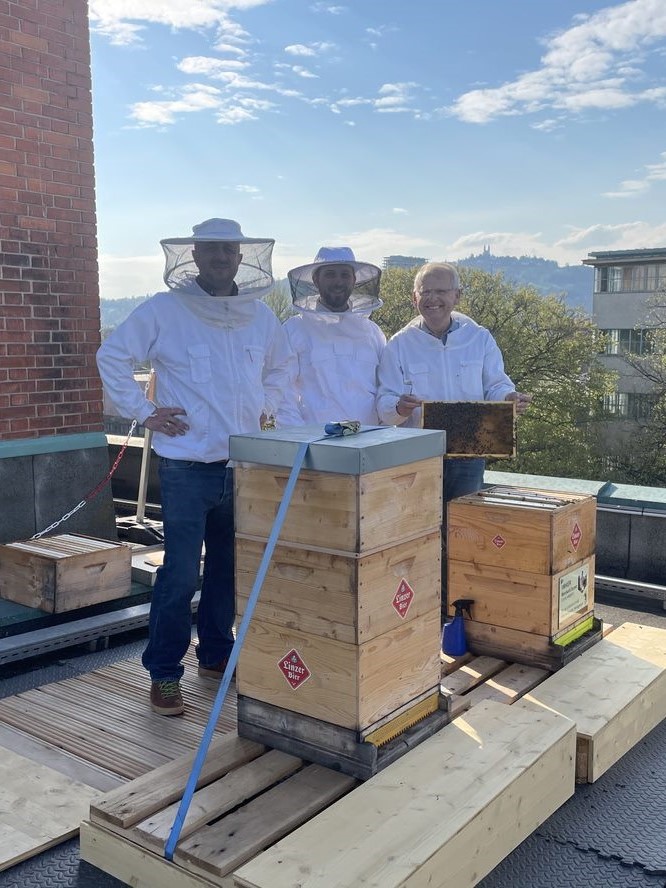 Personen am Dach der Brauerei Linzer - Bienenrettung